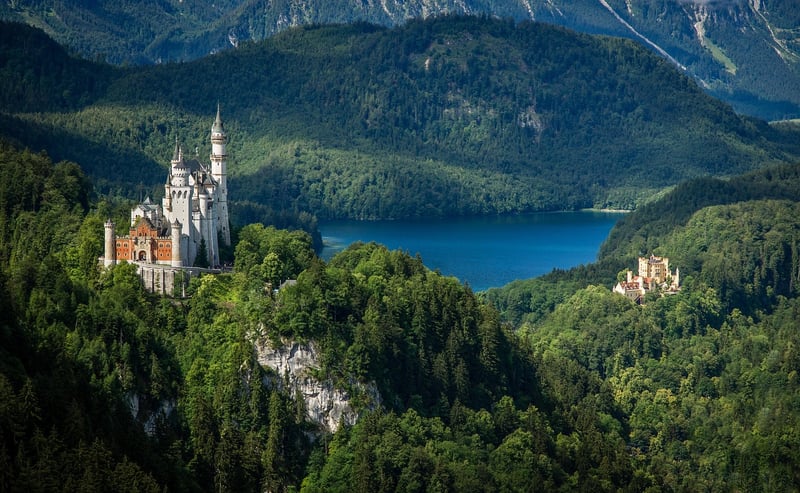 Fantasy Castle in Forest